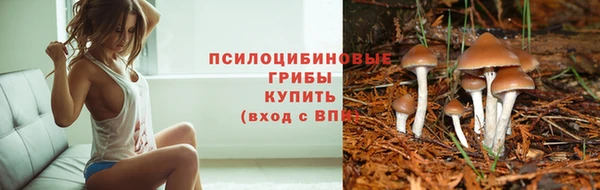 каннабис Алзамай