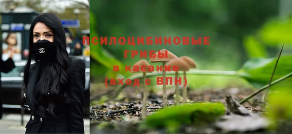 каннабис Алзамай