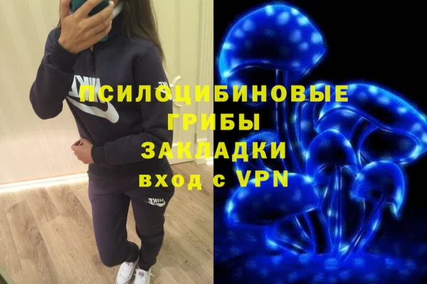 СК Алексеевка