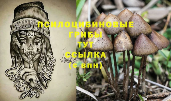 кокаин колумбия Алексин